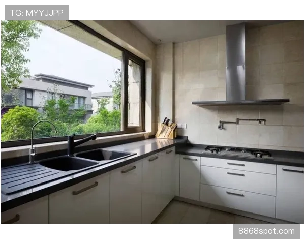 杨昊晒厨房照那张，我盯着看了三分钟——这厨房比我整套房还讲究